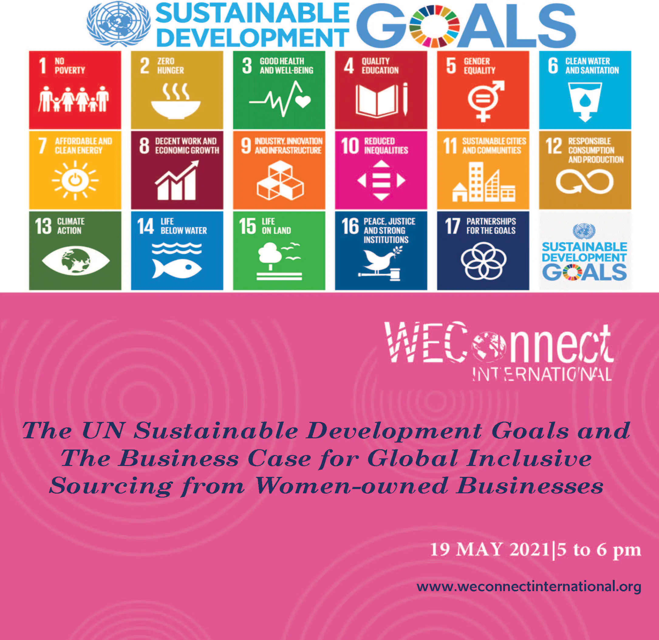 Webinar: The UN Sustainable Development Goals and The Business Case for ...